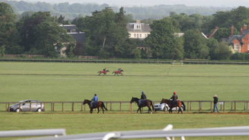 Only ONE yard of nearly 100 in Newmarket  has a case