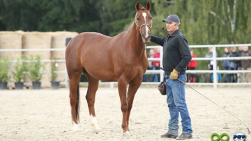 Amoureux de chevaux, le comédien Thierry Lhermitte a pris part aux rencontres de la Cense.
