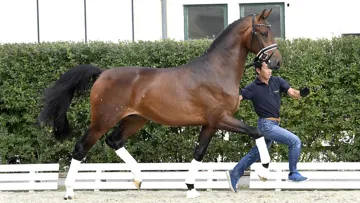 Valerio