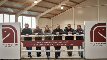 A team of experts has carefully selected the most promising young talents and champions for the “Yearlings and Performers” sale. From left to right: Christophe Ameeuw, Jos Lansink, Virginie Couperie, Joris de Brabander, Ludo Philippaerts, and Carlos Pinto