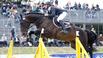 Champion des cinq ans avec Alexis Borrin, l'été dernier à Fontainebleau, Andain du Thalie sera présenté au Salon des étalons de Saint-Lô.