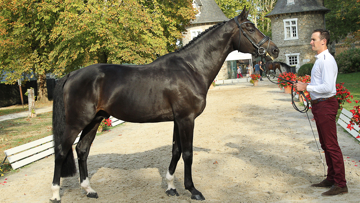 Dartagnan de Béliard vice champion de France 2018