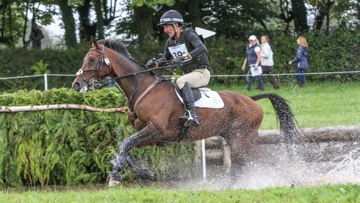 Sir Mark Todd, NZB Campino