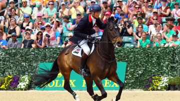 William Fox Pitt, Bay My Hero, Winners 2014