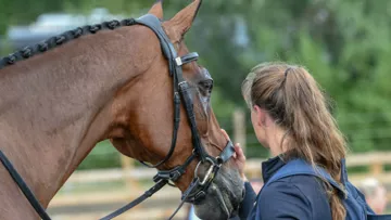 Olympic horse Ceylor LAN gets well deserved pat