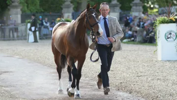 Jonty Evans is making significant progress after May fall