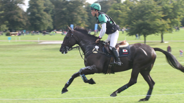 This horse is a picture of health but injuries are common in event horses