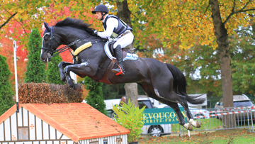 Halunke et Michael Jung conservent la tête du classement provisoire du CCI4* de Pau