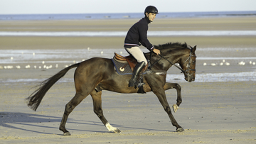 Vinci et Astier plein galop vers les médailles des Jeux équestres mondiaux.