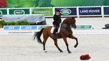 Valentina Truppa hat ihr Spitzenpferd Eremo del Castegno verkauft.
