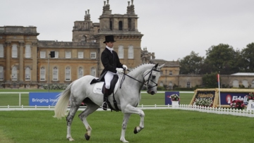 Dressage Training To Be Reviewed