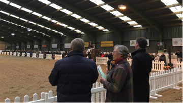 Paul Fielder, Jennie Loriston Clarke and Paul Hayler judge at Hurstbourne