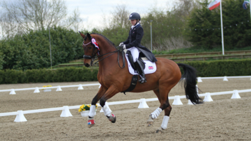 Despite its recent succsses, all is not well at British Dressage