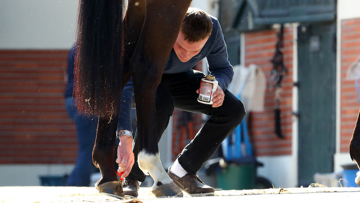 IJRC proposes new rules in the stables