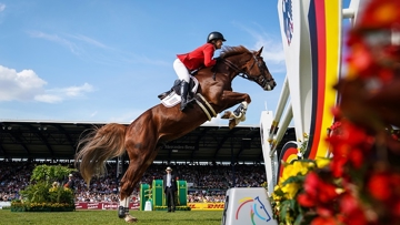 Darry Lou, 2019 International Horse of the Year
