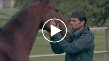 Nino des Buissonnets est toujours auprès du cavalier avec qui il a connu ses plus beaux succès, Steve Guerdat.