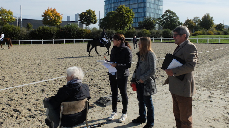 La Fédération suisse des sport équestre (FSSE) soutient la campagne «Happy Horse Award», mais la Protection suisses des animaux finance exclusivement cette initiative.