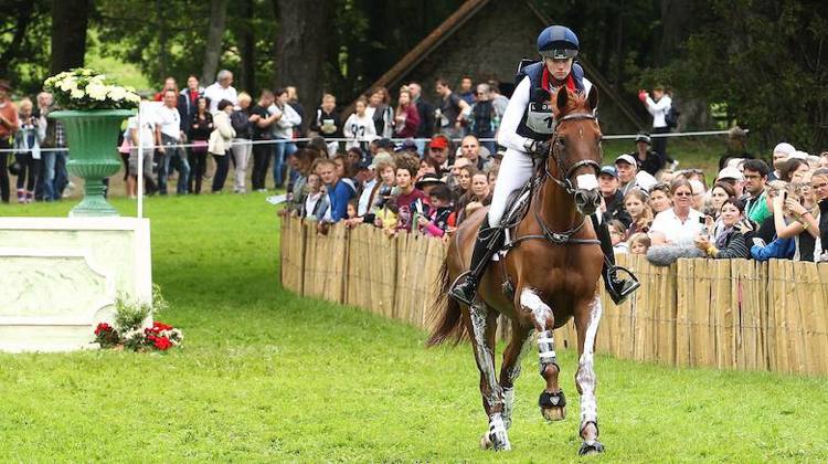 En 2014, le Selle Français Manoir de Carneville avait participé aux Jeux équestres mondiaux de Normandie avec l'Américaine Sinead Halpin.
