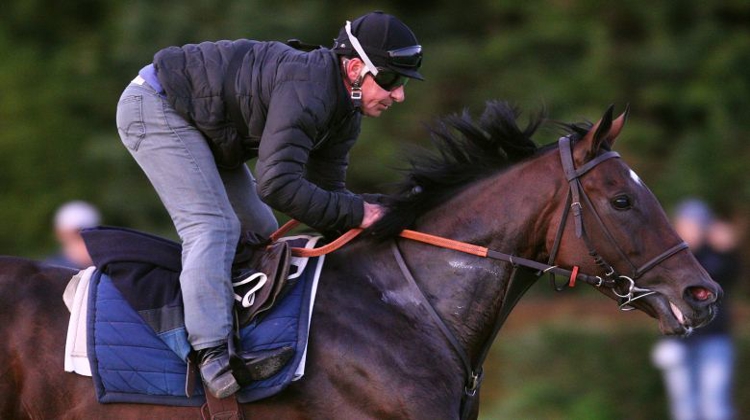 Trêve va-t-elle remporter un troisième Prix de l'Arc de Triomphe demain ?