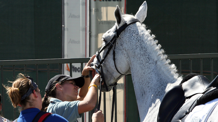 Aux Jeux équestres mondiaux de Lexington, Karim Laghouag et Havenir d'Azac avaient été éliminés pour une trace de sang trouvée dans la bouche du cheval.