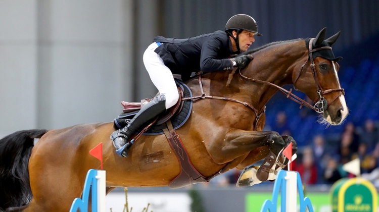 Grâce à sa régularité tout au long de l'année, Kevin Staut figure dans le Groupe 1 de saut d'obstacles avec trois chevaux, dont Edesa's Cannary.