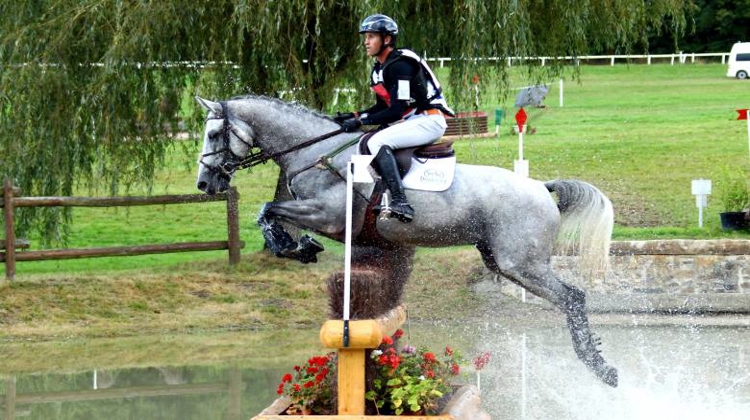 Upsilon, l'un des étalons du groupe JO-JEM, sera présenté au Salon des étalons de sport de Saint-Lô