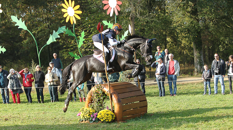 Cooley Moonshine a mangé du lion sur ce cross des 6ans avec Elisabeth Halliday