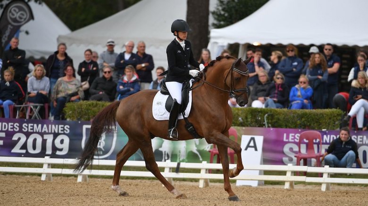 Dorian Grey de Hus, champion de France des chevaux de sept ans.