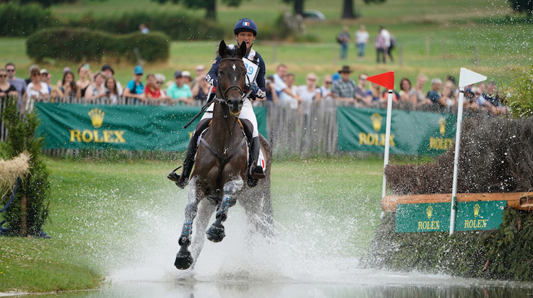 Nicolas Touzaint et Absolut Gold.