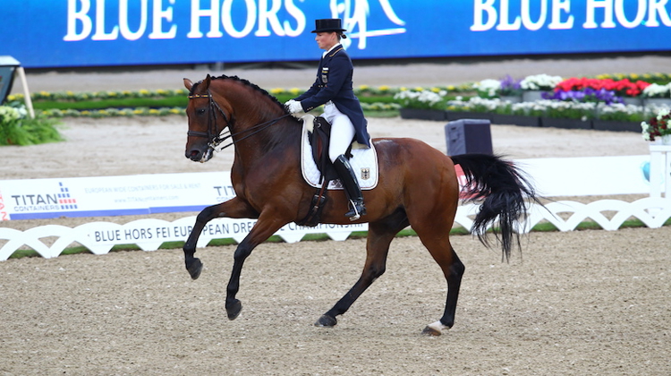 Le galop de Don Johnson, monté par l'Allemande Isabell Werth, a séduit les juges du CDI 5* de Stockholm.