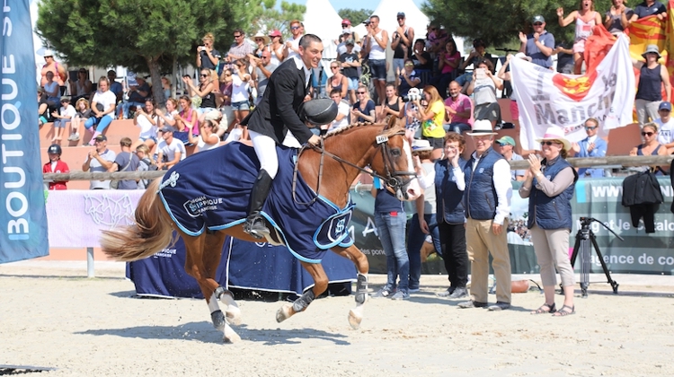 Champagne d'Ar Cus, champion des poneys de six ans en 2018. 