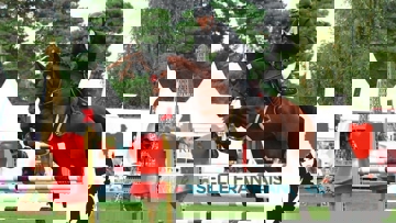Associé à Jérémie Rolland, Deuxcatsix d’Églefin a notamment pris part à la finale nationale des chevaux de cinq ans, en 2018 à Fontainebleau.