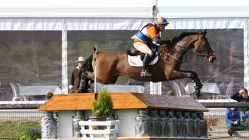 Andrew Heffernan, 2015 in Fontainebleau