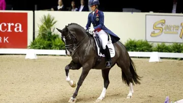 Der kleine Bruder von Doppel-Olympiasieger Valegro kommt unter den Hammer