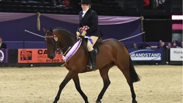 Beware Chalk Pit, winner of SEIB Retrained racehorse Championship