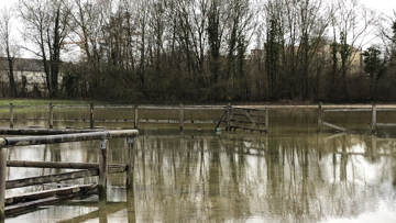 Le Cercle hippique de Romilly-sur-Seine a dû évacuer sa cinquantaine d'équidés.