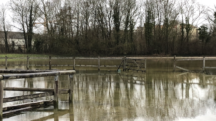 Le Cercle hippique de Romilly-sur-Seine a dû évacuer sa cinquantaine d'équidés.