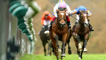 Enable Wins the Arc