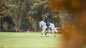 Alimentation, entraînement et récupération : lors d’un webinaire Cavalor, les experts Thibault Frippiat et François Defraumont ont décrypté les clés de la performance du cheval de sport.