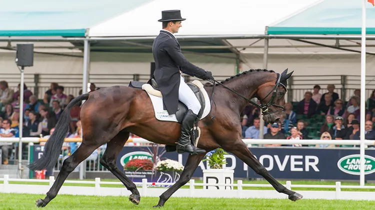 Clifton Promise et Jonathan Paget toujours aussi talentueux sur le dressage (@Kit Hougthon - Burghley)