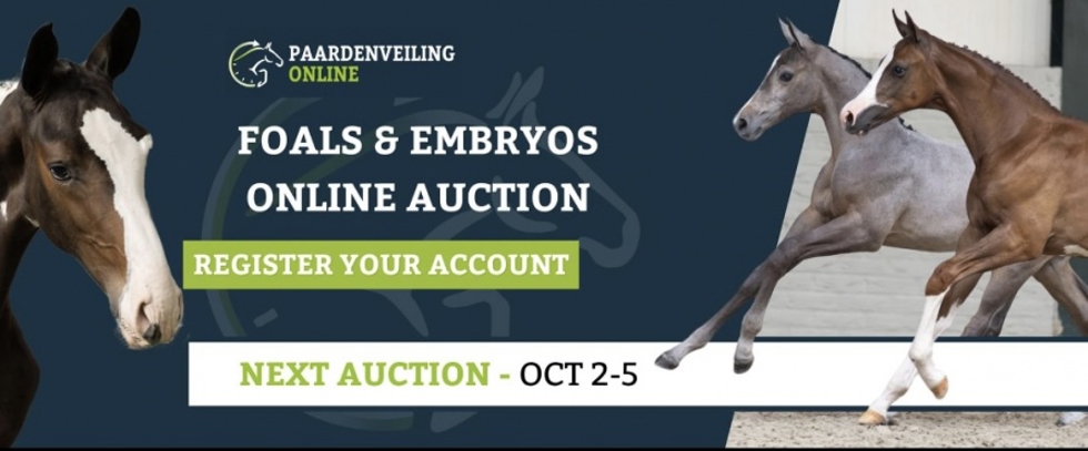 Paardenveiling 