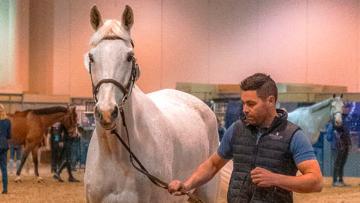 Sean Vard a présenté Leone Jei à l'inspection des chevaux ce lundi 3 avril à Omaha