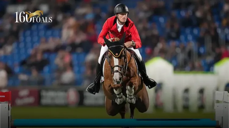 Ilusionata van’t Meulenhof, volle zus van Emerald en Diamanthina van’t Ruytershof, is een merrie van topniveau met vier podiumplaatsen in 5*-Grand Prix-proeven. Bovendien komt een van haar dochters uit op 1,60 m-niveau. Haar veulen van Dexter de Kerglenn wordt een van de blikvangers van de veiling op 30 juni.