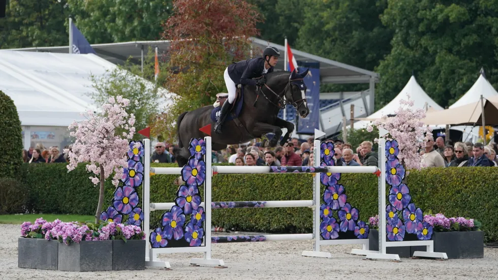 Eferson B Bailly Z naar winst: D’Haese opent sterk in Woutershof