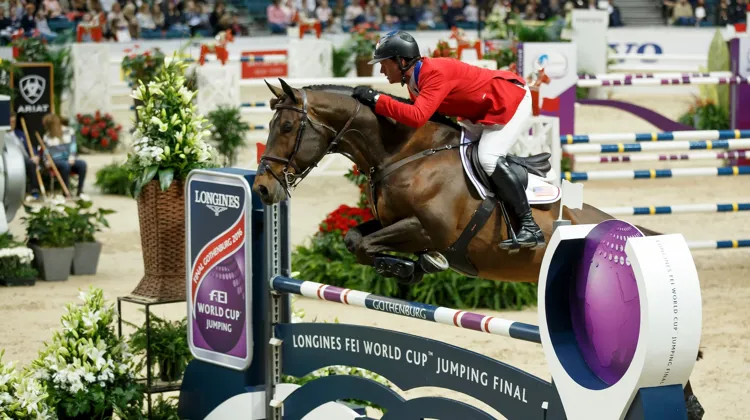 En 2016, Quentin Judge a participé à la finale de la Coupe du monde Longines de Göteborg avec HH Copin van de Broy, auparavant partenaire du Belge Grégory Wathelet et de l’Allemand Marcus Ehning.
