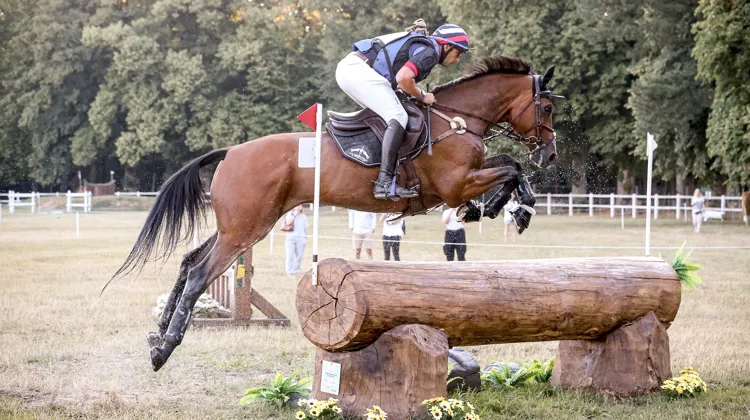 L’Agence française de lutte contre le dopage a suspendu Elipso de la Vigne, le cheval de tête de Sébastien Cavaillon, pour une durée d’un mois.