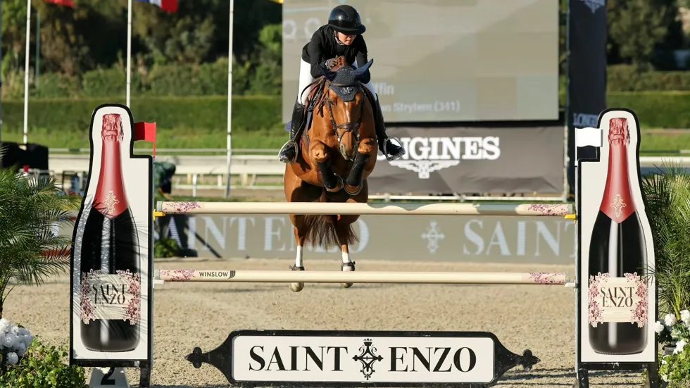 Oh My Star Van Strijtem