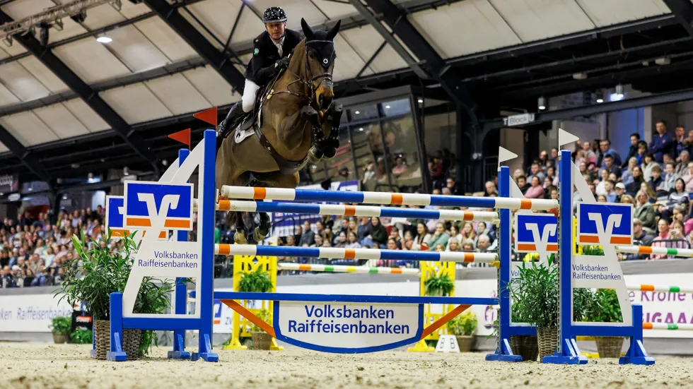 Quinoa de la Liniere springt met Koen Vereecke naar zege in 1m55-hoofdrubriek