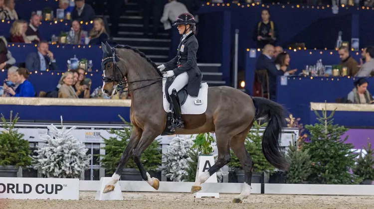 Il y a un an, Larissa Pauluis et Flambeau avaient terminé deuxièmes du Grand Prix. 