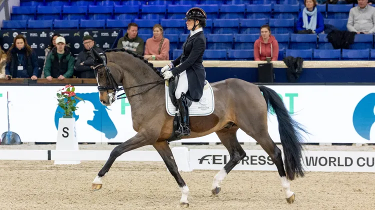 Hier déjà, Larissa Pauluis et Flambeau l'avaient emporté, dans le Grand Prix.